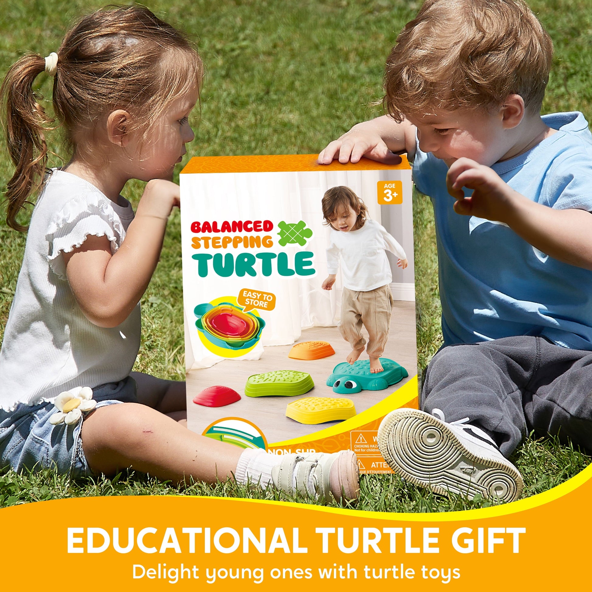 5 Pack Turtle Balance Stepping Stones