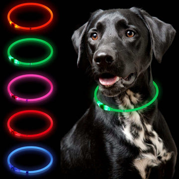 Led Dog Collar Light up Dog Collars,Dog Lights for Night Walking,Glow in the Dark Dog Collar for Large Medium Small Dogs,Usb Rechargeable Kbtzc（Green）