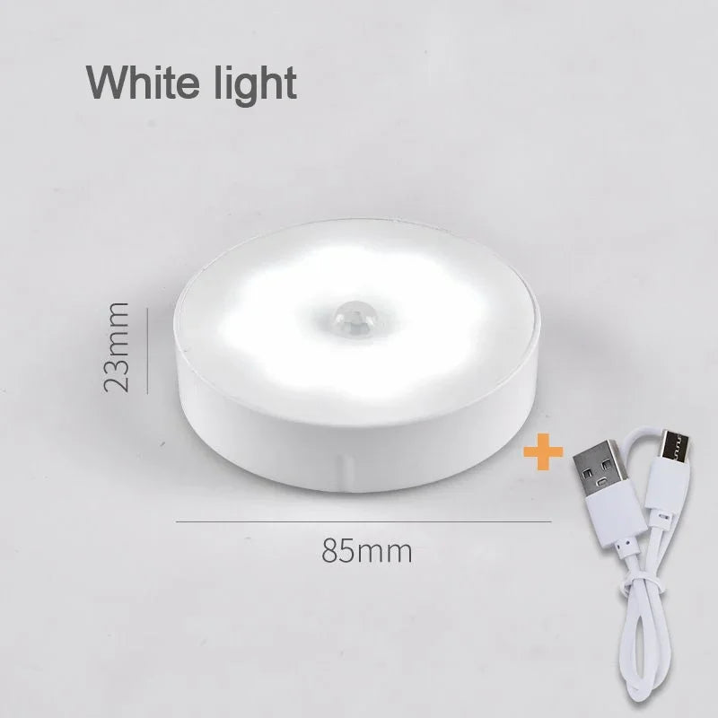 Rechargeable Motion Sensor