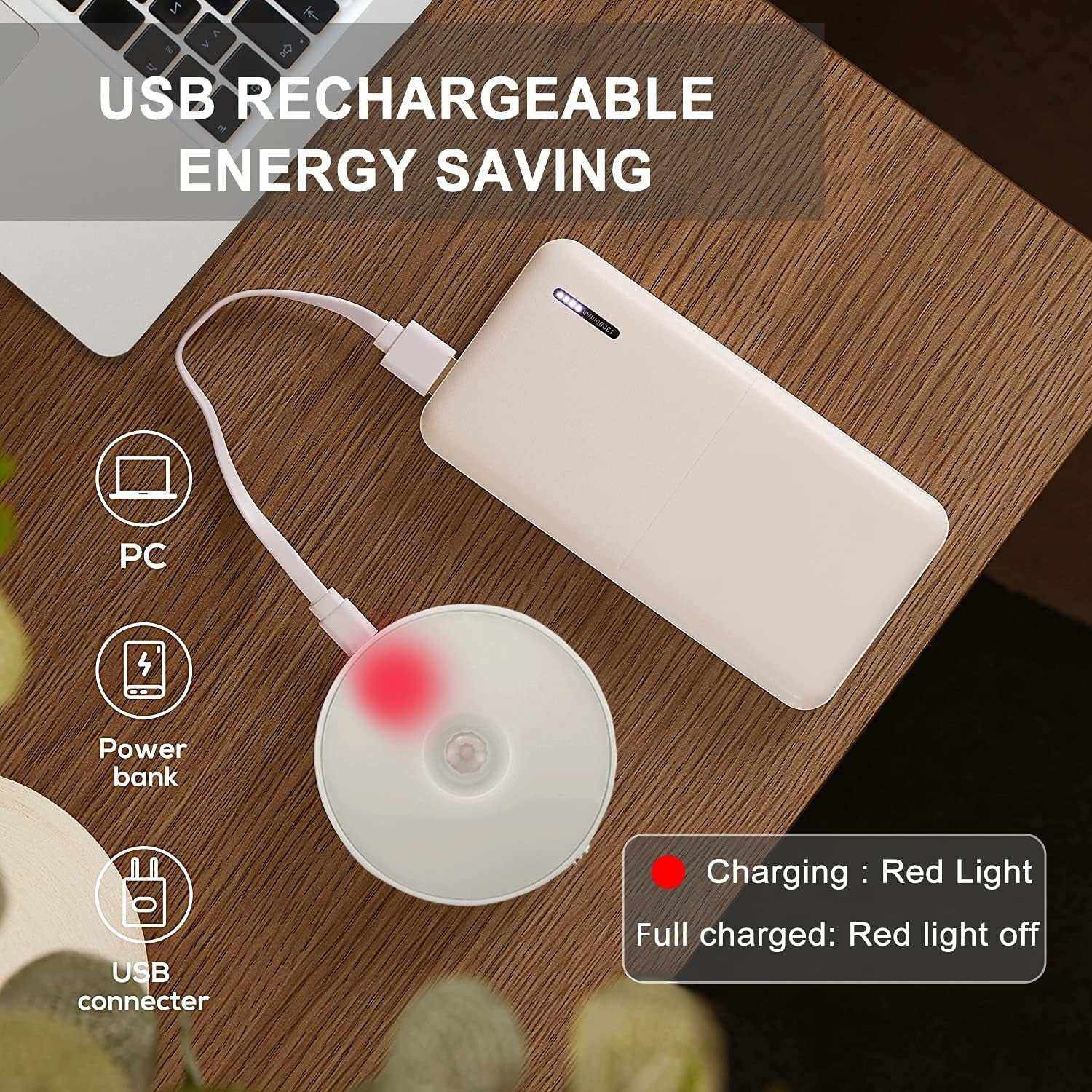 Motion Sensor Light