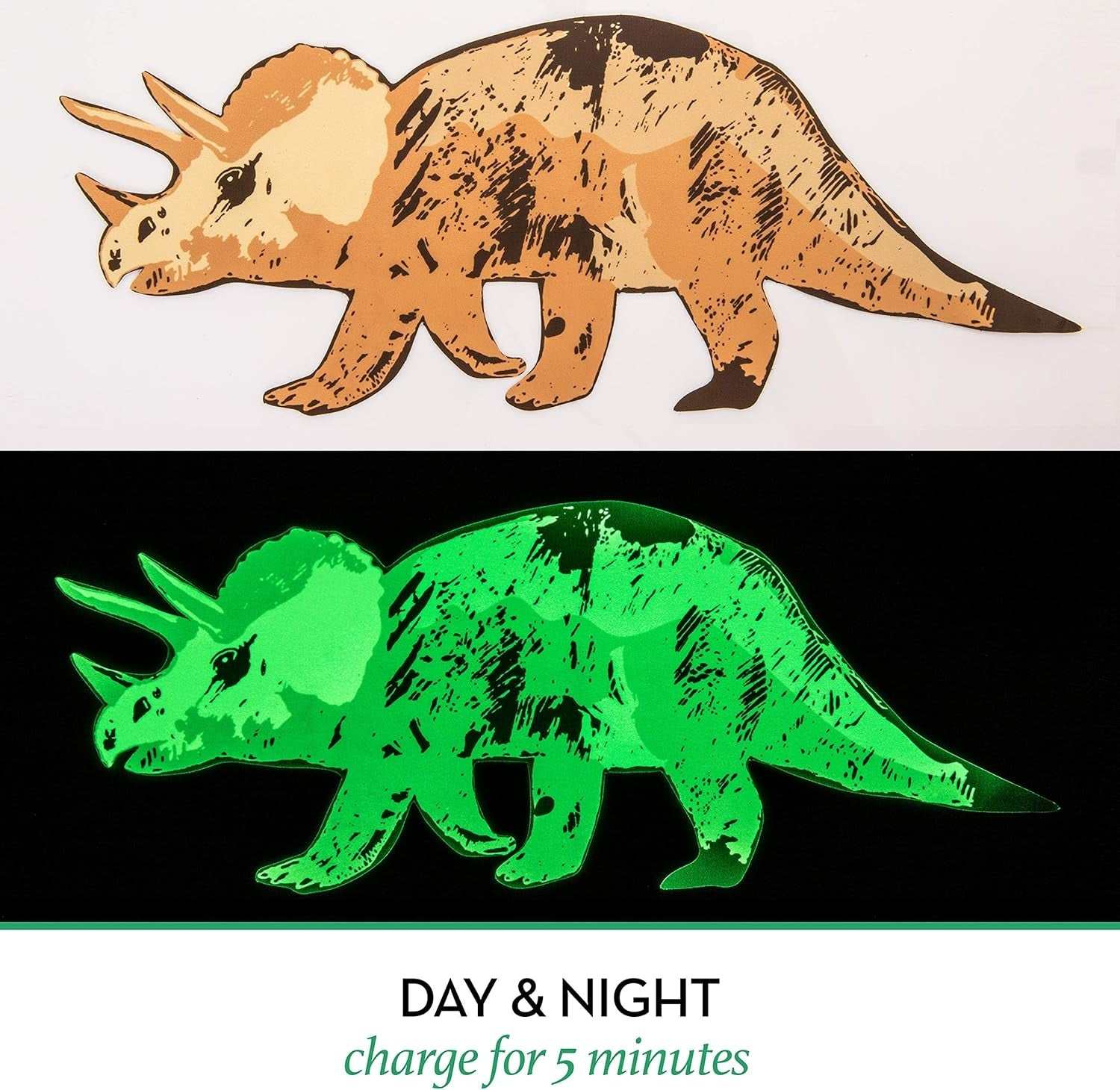 Glow in the Dark Dinosaur Wall Decals