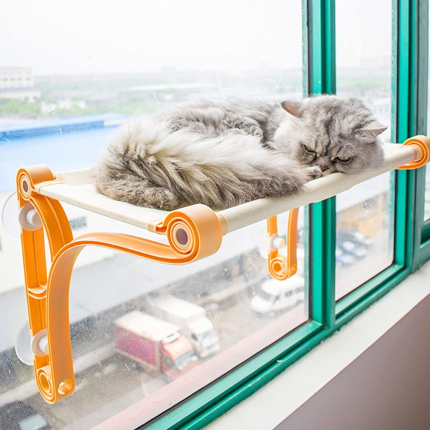 Cat Window Perch