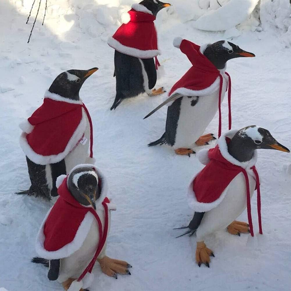 Dog Clothes for Christmas Cat Xmas Holiday Costume Red Christmas Cape Hooded Cloak Winter Outwear Small