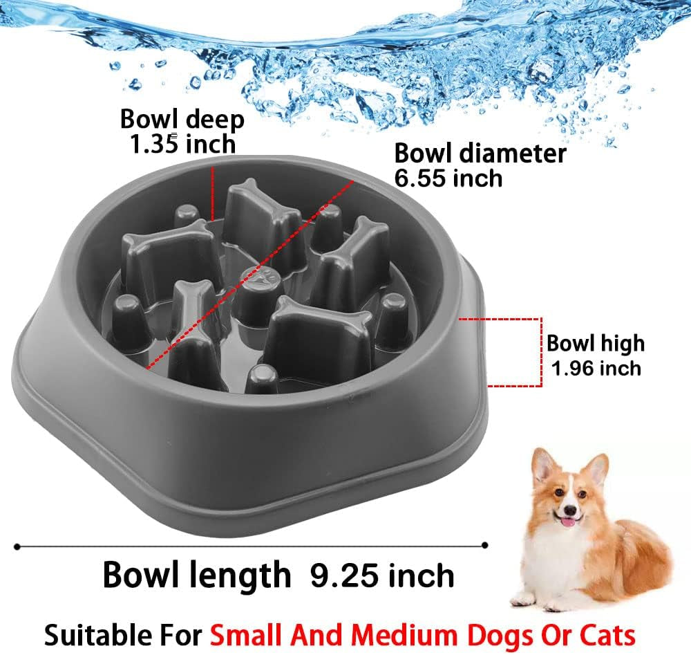 Slow Feeder Dog Bowl