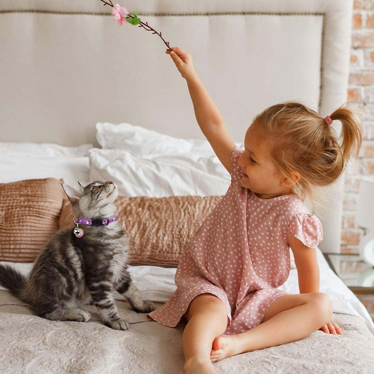 Breakaway Cat Collars