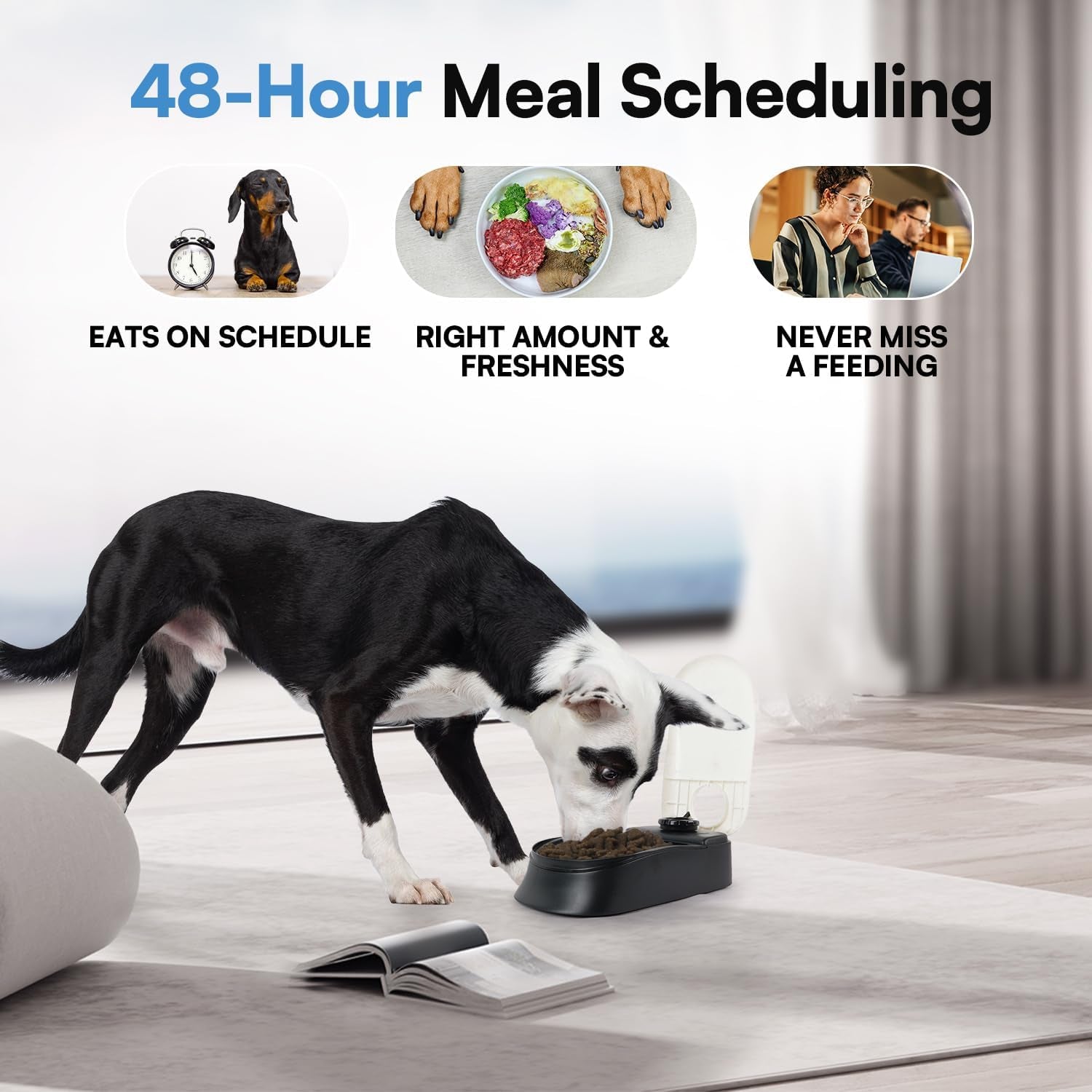 Automatic Pet Feeder for Dogs and Cats, 1.5 Cup Food Dispenser Feeder with 48-Hour Timer - Single