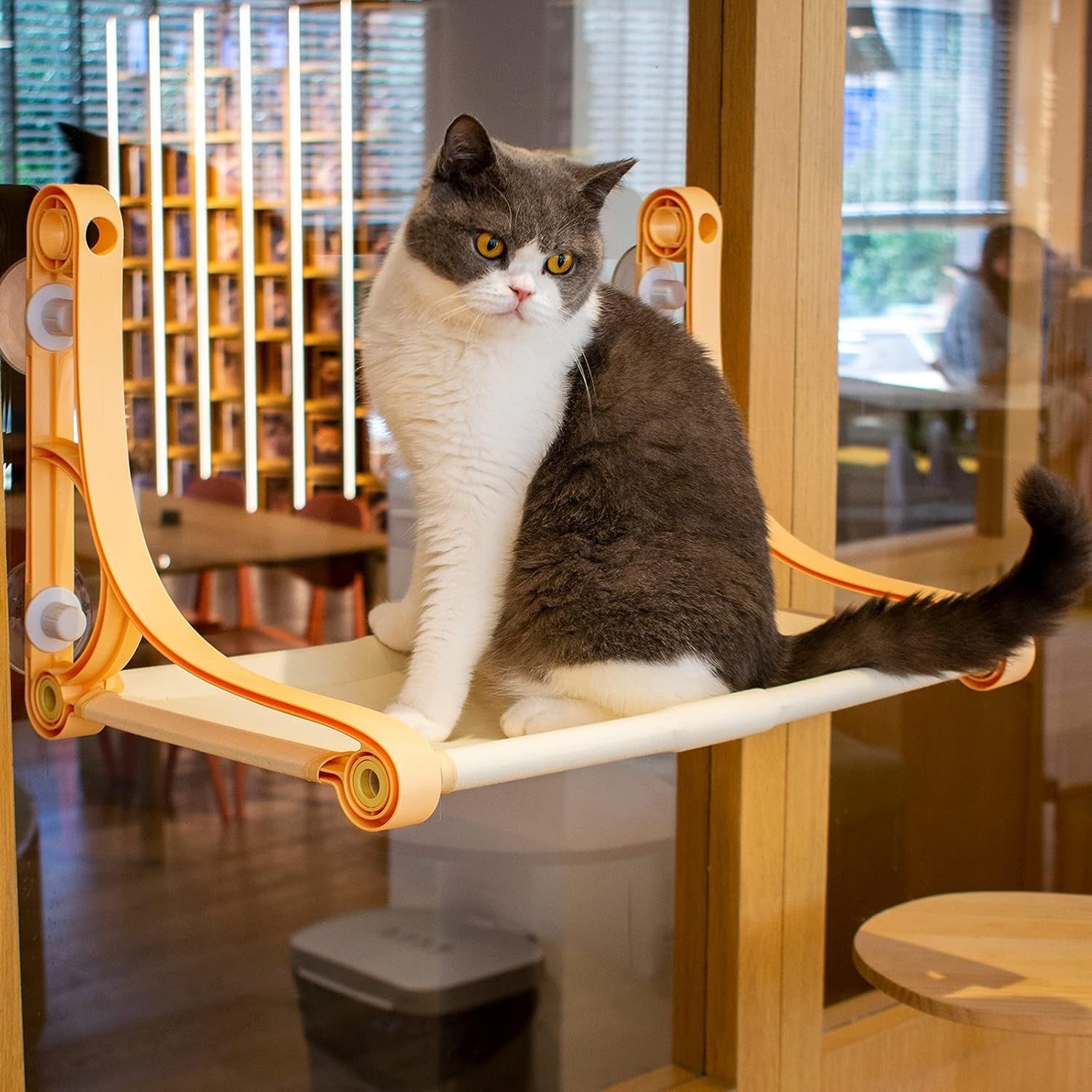Cat Window Perch