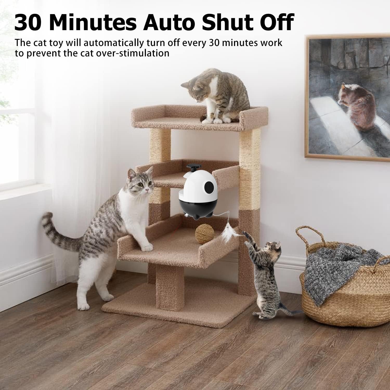 Cat Toys Interactive