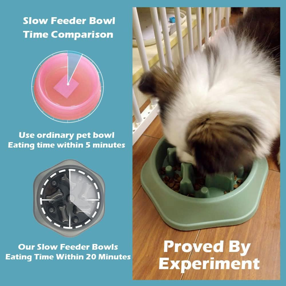 Slow Feeder Dog Bowl