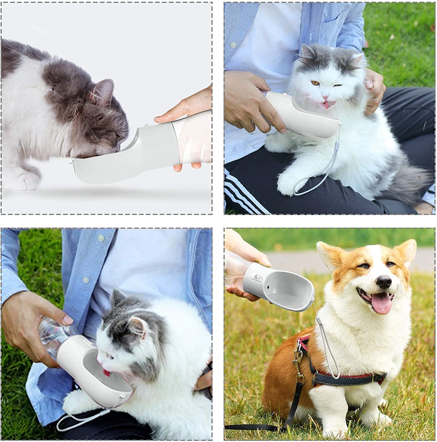 Portable Dog Water Bottle