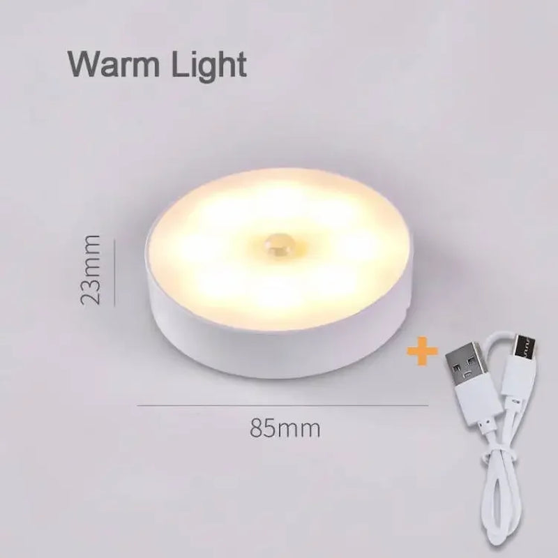 Rechargeable Motion Sensor