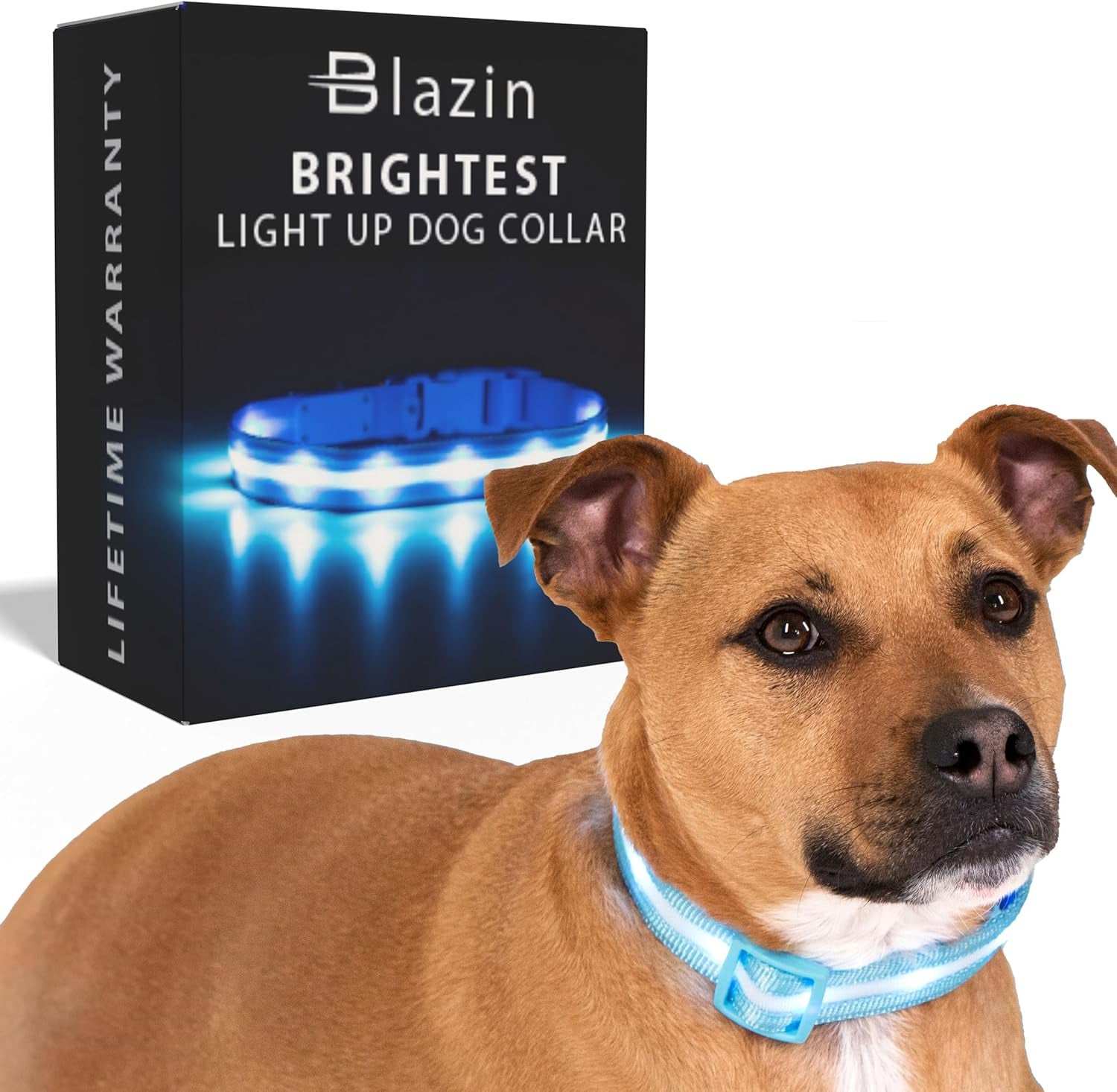 Light up Dog Collar